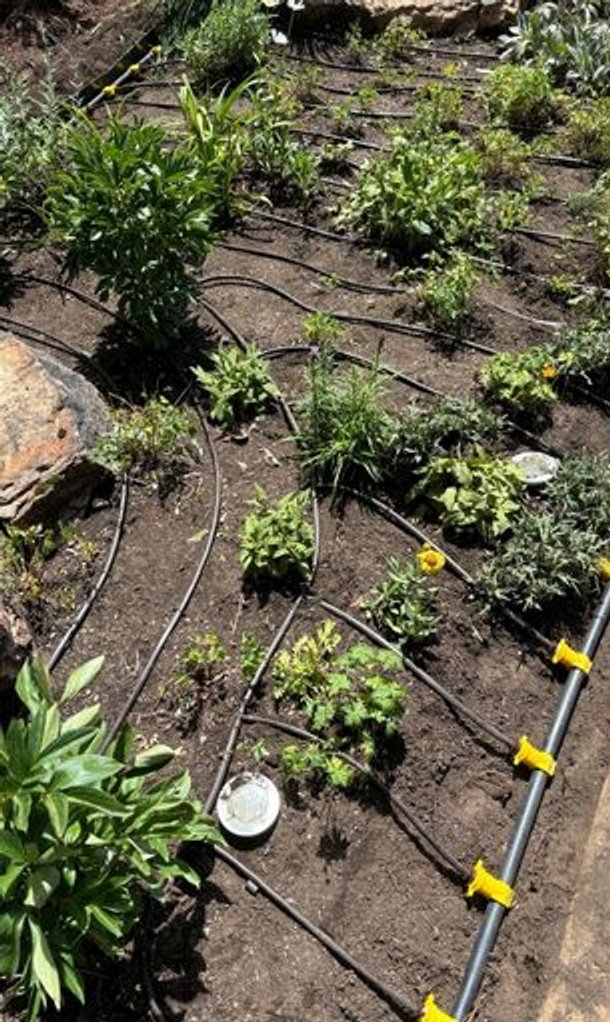 sunlight sprinkler new irrigation installation